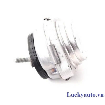 Cao su chân máy xe BMW X5_ 3002211120